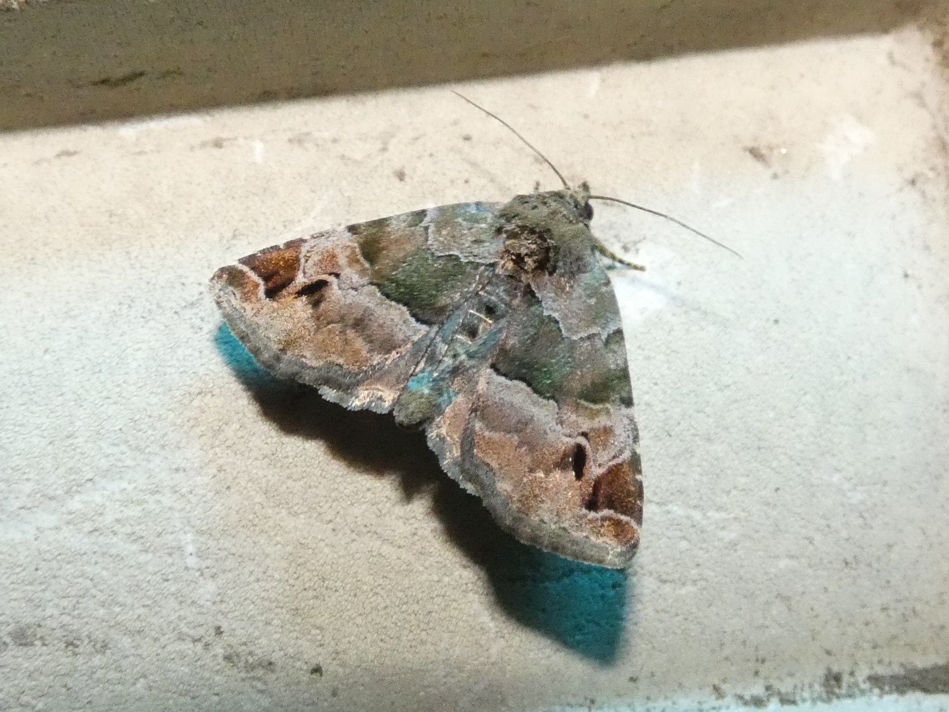 photo_2